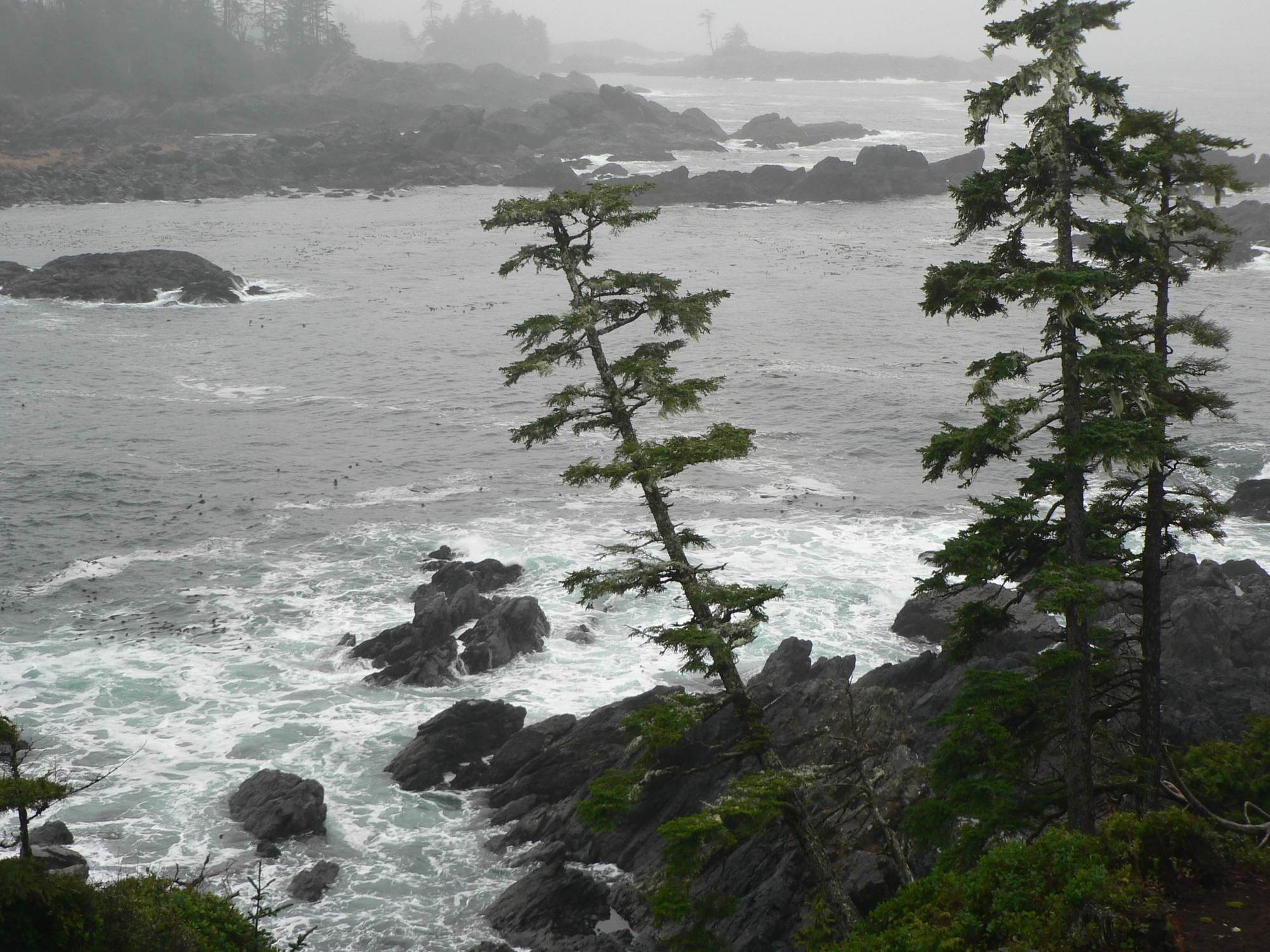 Black Rock Oceanfront Resort Ucluelet Ngoại thất bức ảnh